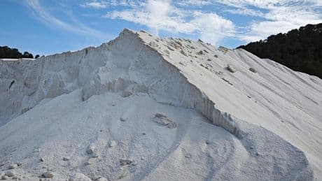 La sal de Eivissa es oro blanco para el mejor pescado del norte