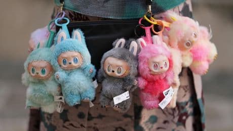 How Labubu Dolls Took Over The Internet