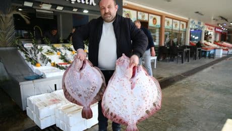 Ordu'da kalkan bereketi