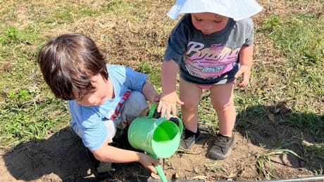 Let kids create their own garden, and other tips for instilling a love for growing things