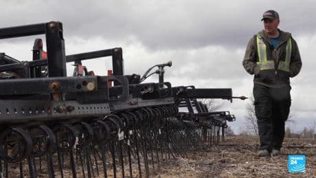 Canada's election: How Trump's trade war is impacting voters in key province of Ontario