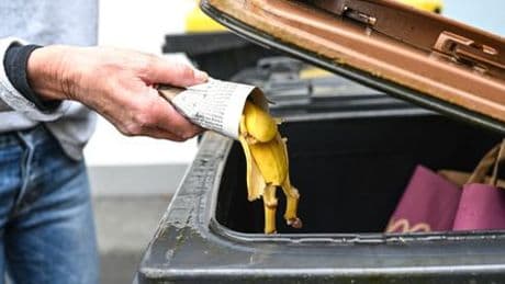 Biomüll: Neue Regeln ab Mai - Wie verhindert man das Plastik zwischen den Bananenschalen?