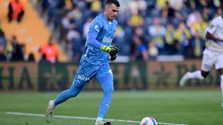 Livakovic'e milli davet