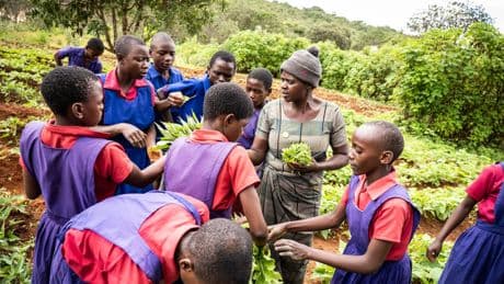 Nominiert für den "Constructive World Award": "Sonst hätten mein Kind und ich nicht überlebt": Wie sich Frauen in Malawi selbst helfen