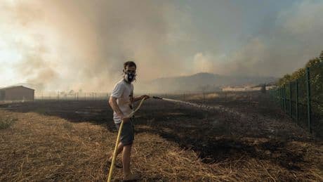 Großer Vegetationsbrand wütet in Südfrankreich