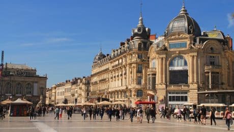 À Montpellier, des aménagements urbains pour (un peu) moins suffoquer l’été