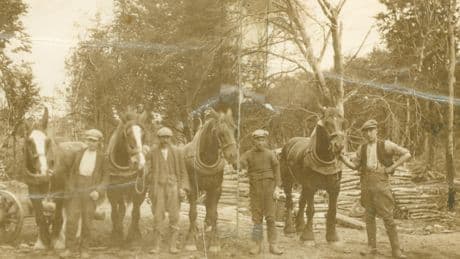 The land reform story at the heart of a new national Scottish archive