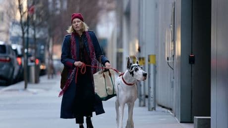 Kino: Auf den Hund gekommen