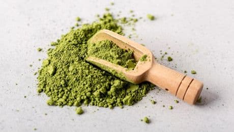 Sembra un integratore ma è una droga. Negli USA spopola il kratom, lo usano 2 milioni di persone