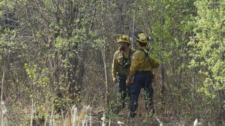 Rain provides respite in Manitoba wildfire fight, but evacuation order still in place