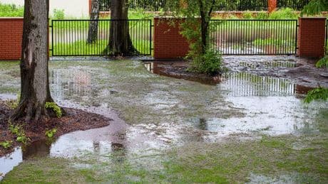 Regen: So schützen Sie Ihren Garten vor zu viel Niederschlag