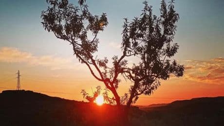 El primer amanecer de agosto