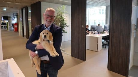 Bello auf der Arbeit – ja oder nein? - „Im Büro ist jede Streicheleinheit eine Wohltat“