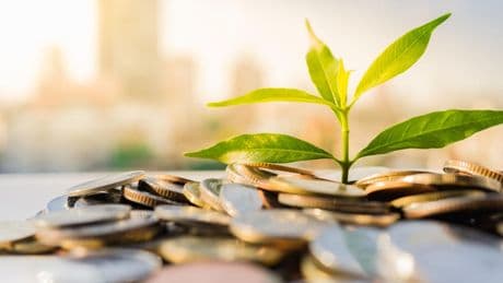 EU Nature Credits Show The Path To Market-Driven ProSocial AI