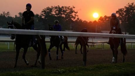 Sovereignty beats Journalism to win the Belmont Stakes at Saratoga