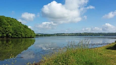 Child dies after getting into difficulty in water at popular beauty spot