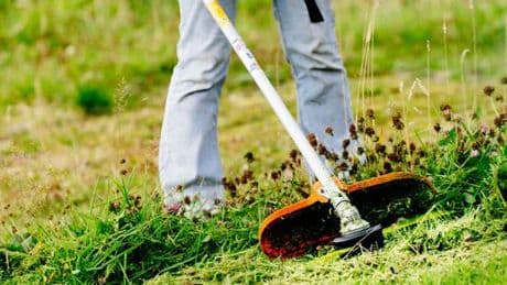 ‘Very effective’ cordless strimmer ‘easily slices through overgrown grass’ hits sale with 20% off