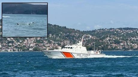 Beykoz'da tekne faciası! 1 kişi öldü, 3 kişi kurtarıldı