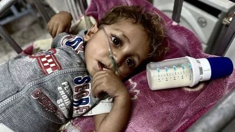 Gaza famine sees 29 elderly and children starve to death in race against time