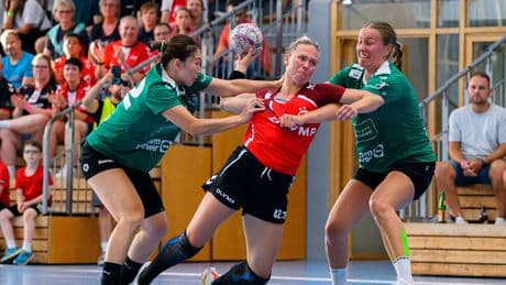 HB Ludwigsburg am Boden - Handball-Meister vor dem finanziellen K.o.