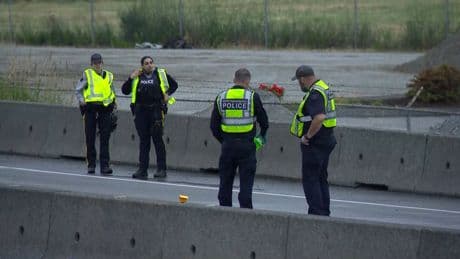Pedestrian struck and killed on Lougheed Highway in Pitt Meadows
