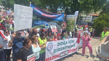 Tokat’ta 10 köyü etkileyecek madene karşı eylem: "Yaşamı hiçe sayan projeye son verin"