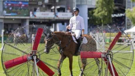 Las imágenes del día: frescura animal en tiempos de calor extremo, entre otras