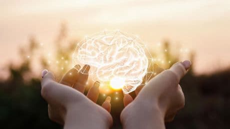 Allarme nel cervello: anche la sola vista di un malato attiva le difese immunitarie