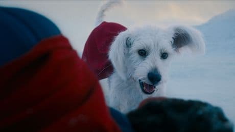 The Long History Behind Krypto the Superdog