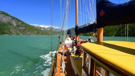 The mild summer cruise that glides into the epic Great Bear Rainforest
