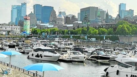 Fin del canadeo