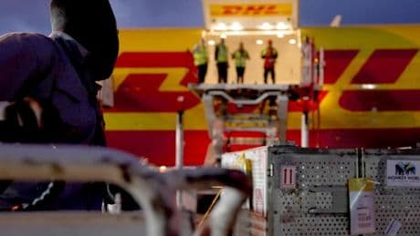 Los juguetes sexuales explosivos con los que Rusia trató de desestabilizar Europa