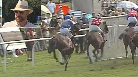 Horse dies and hospitalises two racegoers after crashing into barriers in bank holiday tragedy as footage shows moments leading up to horrifying incident watched by Tyson Fury