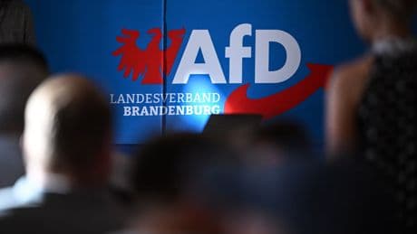 "Stillhalteerklärung" abgegeben: Brandenburger Verfassungsschutz setzt AfD-Hochstufung vorerst aus