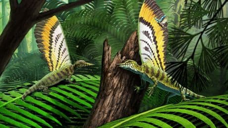 247 Millionen Jahre altes Reptil trug kuriosen Hautauswüchse