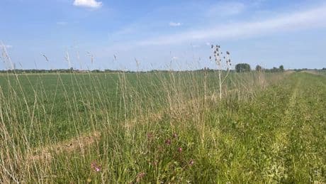 Cutting nature-friendly farming budget would be ‘devastating’, Government warned