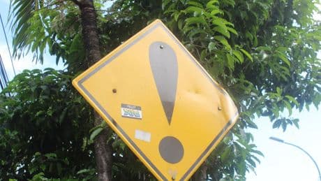 El irresistible encanto de la estupidez