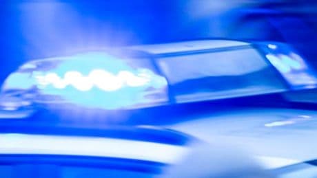 Polizei findet Leiche von junger Frau im Wald – 16-Jähriger unter Verdacht