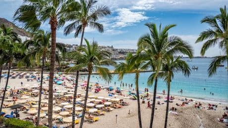Woman's dismembered body turns up on Gran Canaria beach after she texted friend
