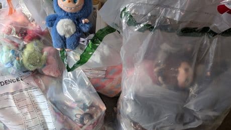 Council warns fake Labubu dolls pose choking risk to children