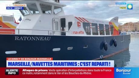 "C'est beaucoup plus agréable": à Marseille, les navettes maritimes ont repris du service