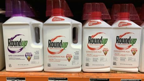 Glyphosate : une étude révèle des risques de cancers, les ONG européennes s'inquiètent