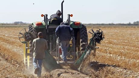 Trump floats 'temporary pass' for illegal immigrants working on farms and in hotels