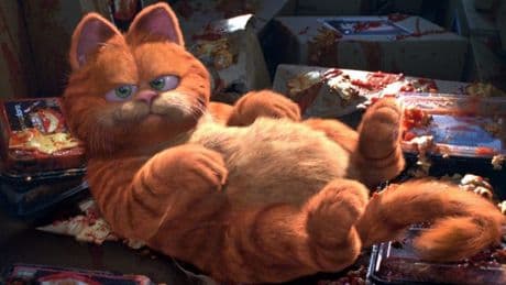 Tiere: Der Garfield-Code, entschlüsselt
