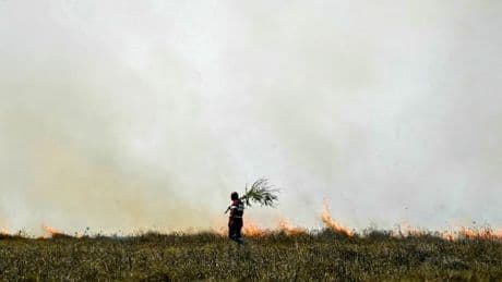 CO₂-Budget: In drei Jahren bricht die Welt endgültig ihr 1,5-Grad-Versprechen