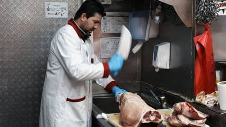 A Bologna il Comune introduce la dieta halal nelle scuole e scoppia la polemica