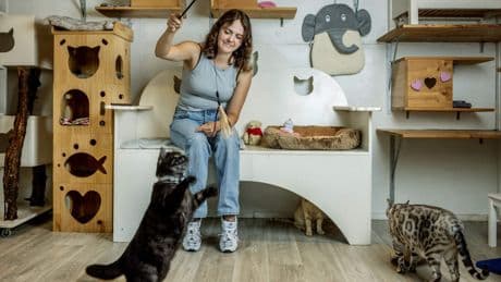 Demi (26) runt luxe kattenhotel: ’Ze kunnen kiezen uit tien smaken brokjes’