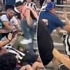 Club World Cup descends into chaos as French and Brazilian fans brawl in the stands in California