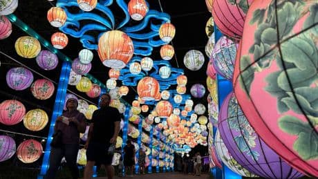 The annual Chinese Lantern Festival in Philadelphia is a symbol of summer in the city