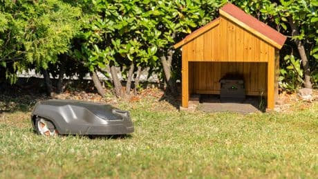 Frühjahrsputz für den Rasen: Die besten Mähroboter im CHIP-Test
